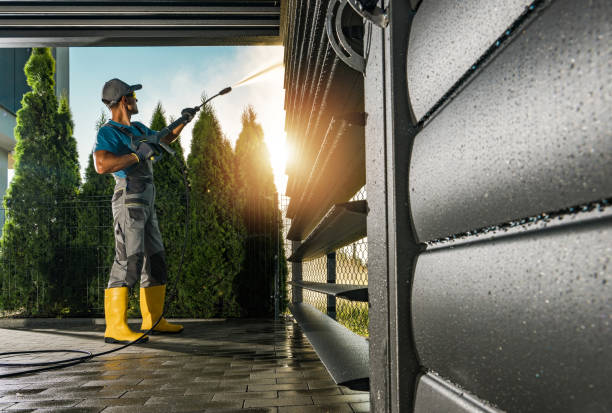 Best Roof Washing  in Rendon, TX